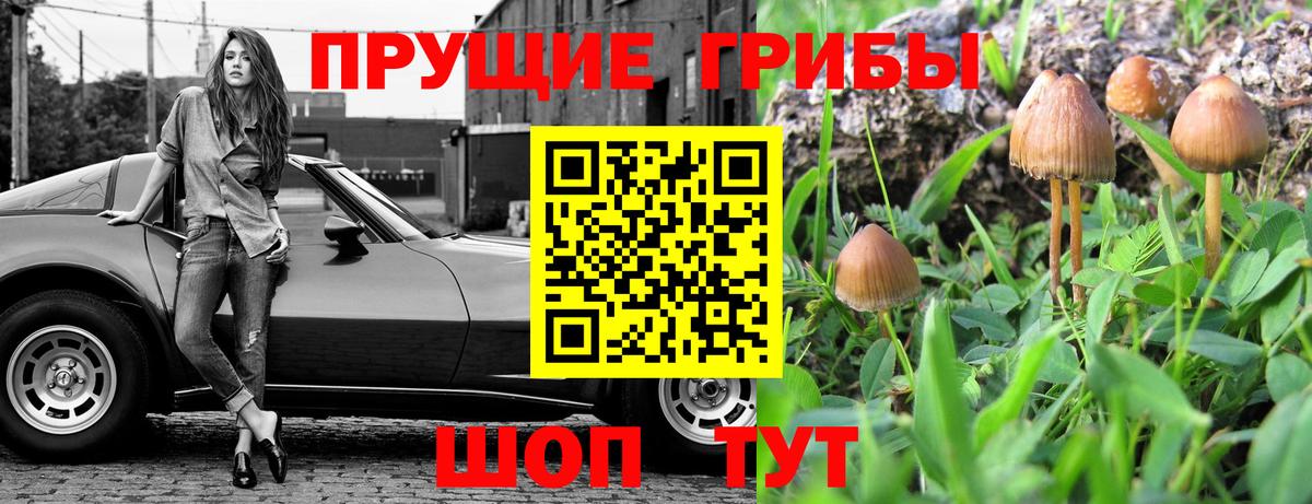 Галлюциногенные грибы прущие грибы  Вход с VPN  Новошахтинск 