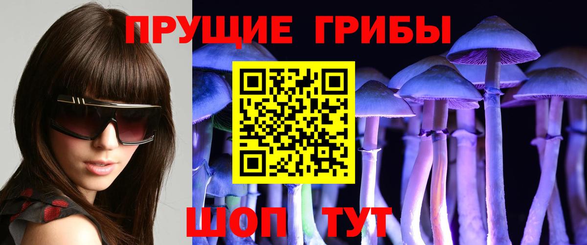 Псилоцибиновые грибы прущие грибы Новошахтинск
